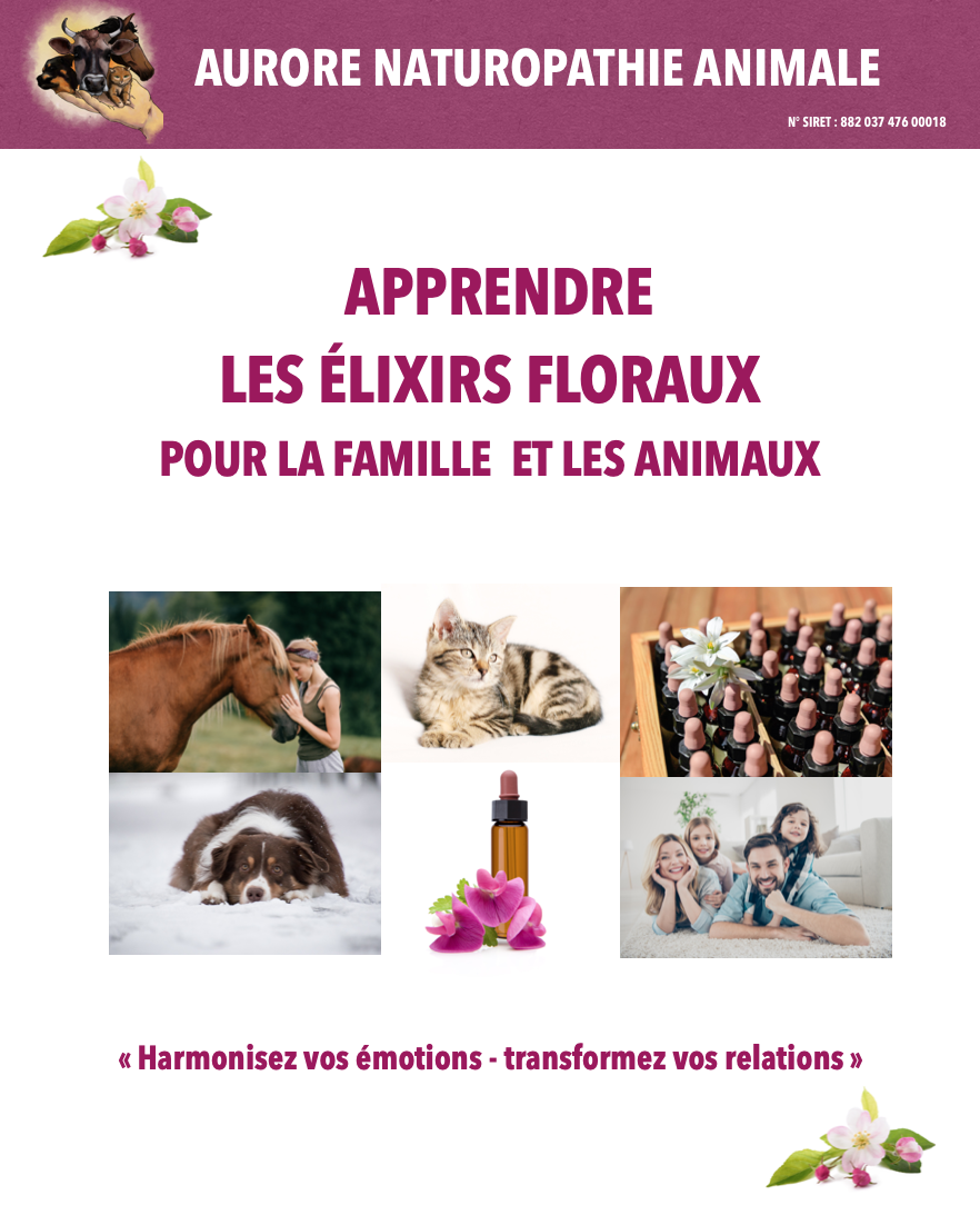 formation-fdb Formation fleurs de Bach