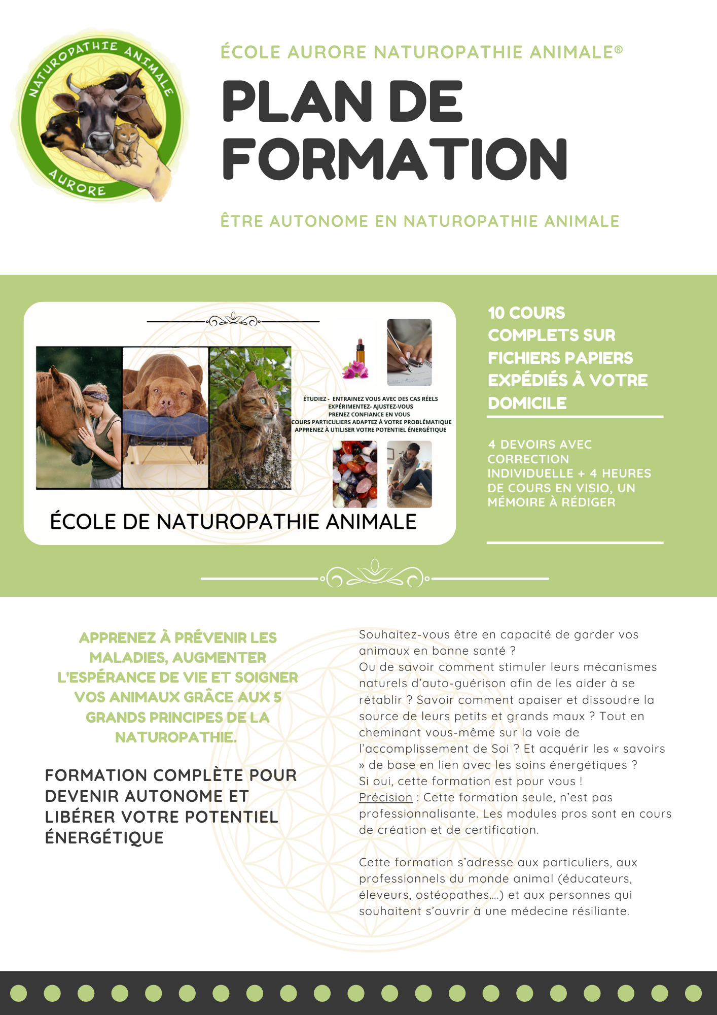 formation-naturopathie-p1 Formation en naturopathie animale