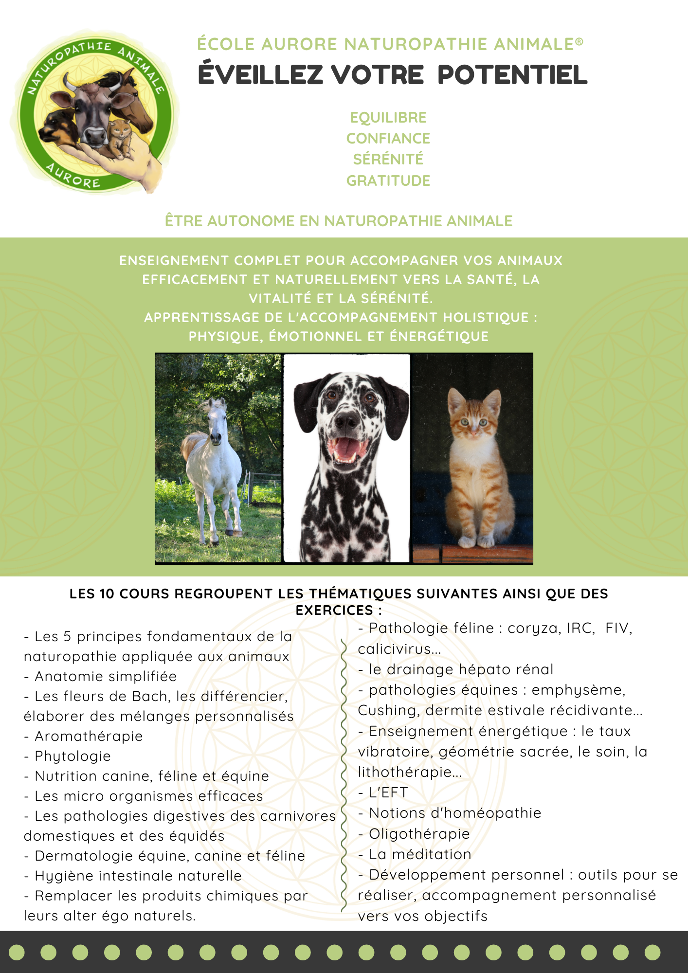 formation-naturopathie-p2 Formation en naturopathie animale