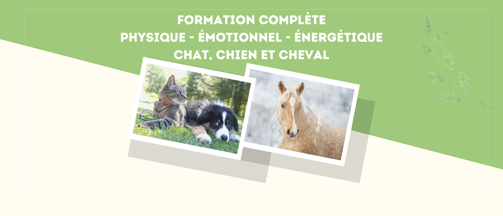 Copie de formationcdcouverturesite2 (4)