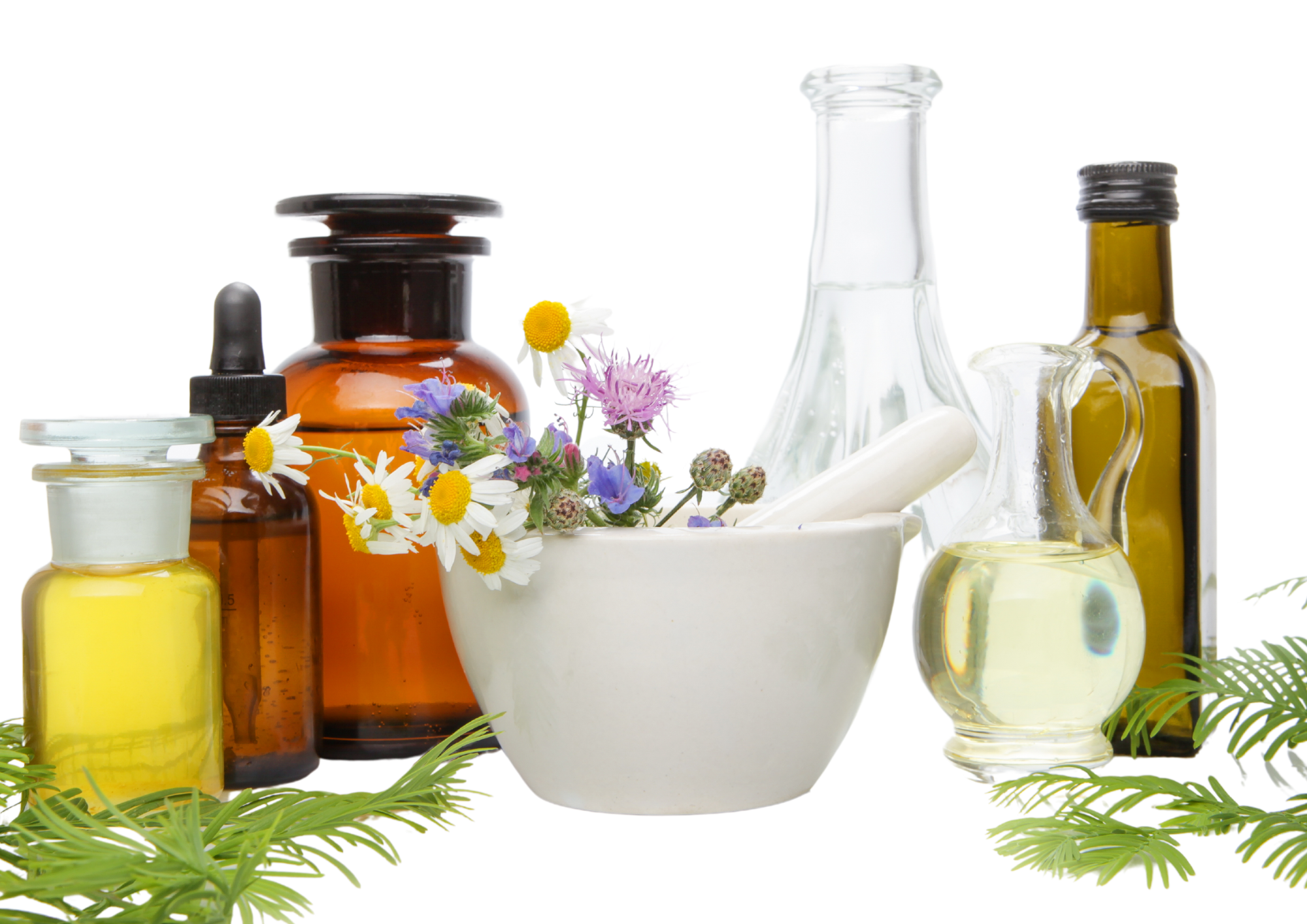 Elixirs (1)