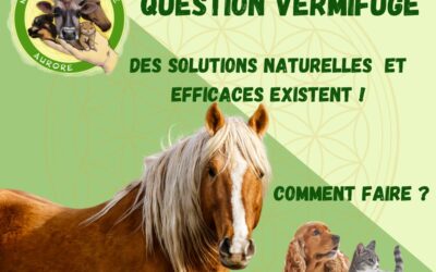 COMMENT VERMIFUGER NATURELLEMENT ET EFFICACEMENT VOS ANIMAUX ?