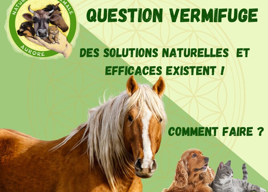 COMMENT VERMIFUGER NATURELLEMENT ET EFFICACEMENT VOS ANIMAUX ?