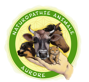 Aurore Naturopathie Animale