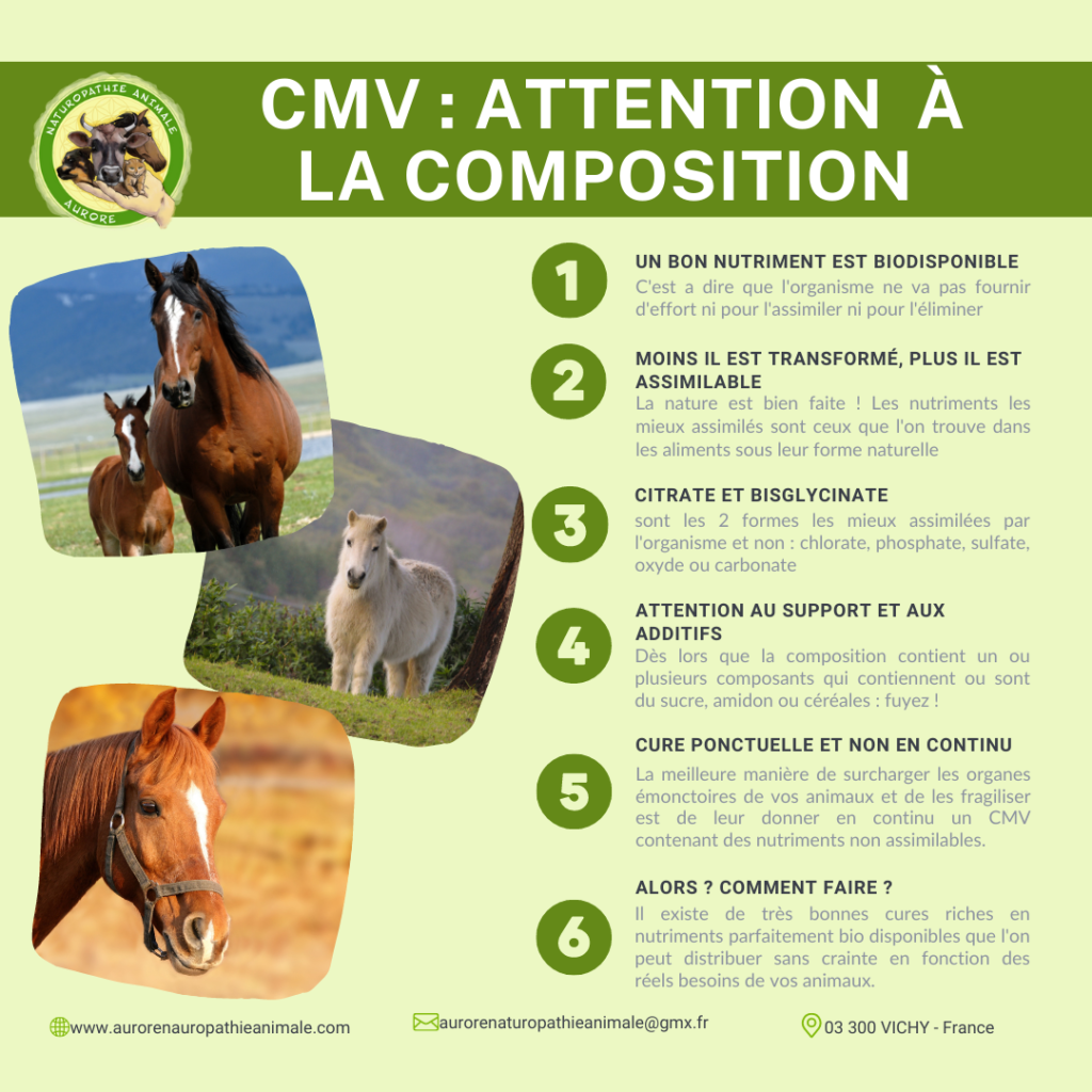 CMV chevaux