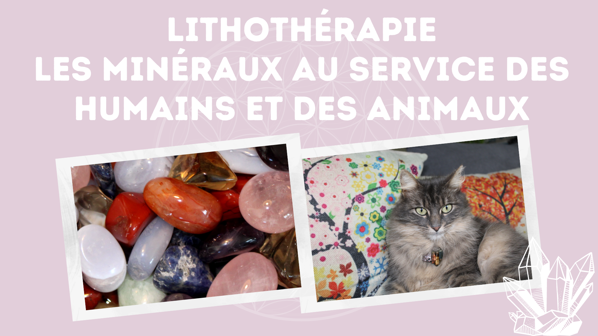 4 Formation en Lithothérapie