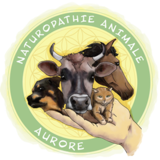 Aurore Naturopathie Animale