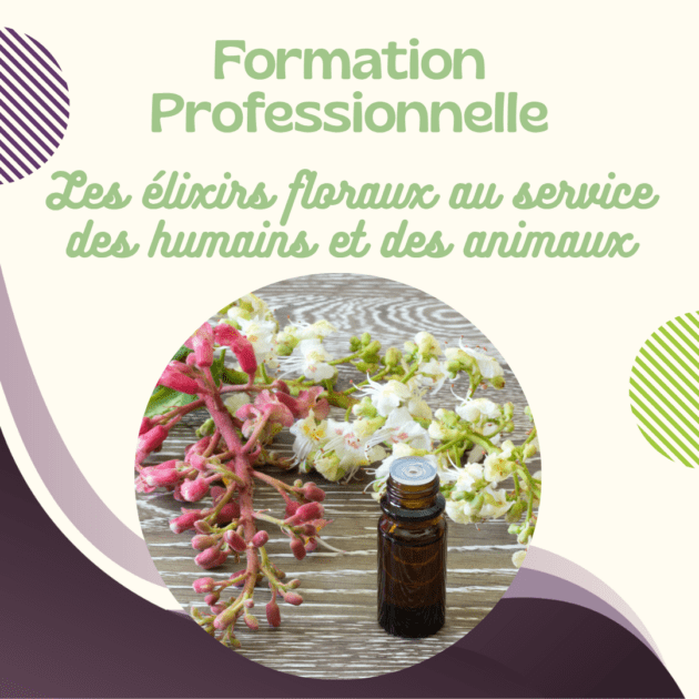 FORMATION CONSEILLER EN ÉLIXIRS...