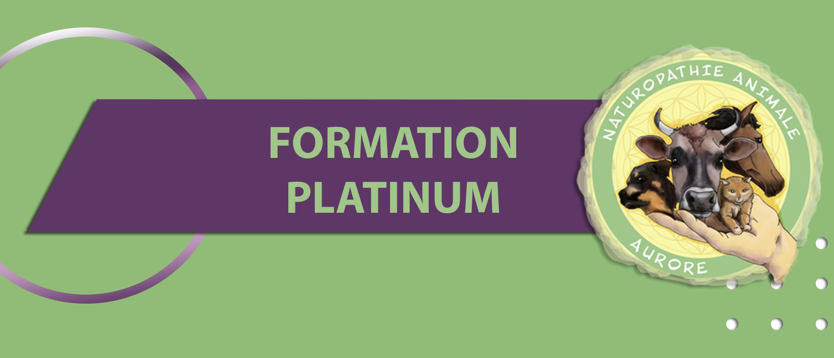 entete-formation-platr