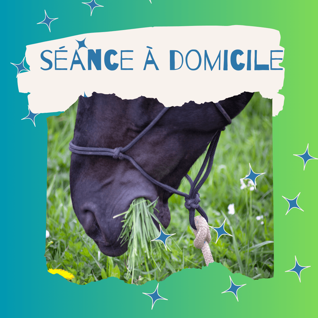 SÉANCE À DOMICILE