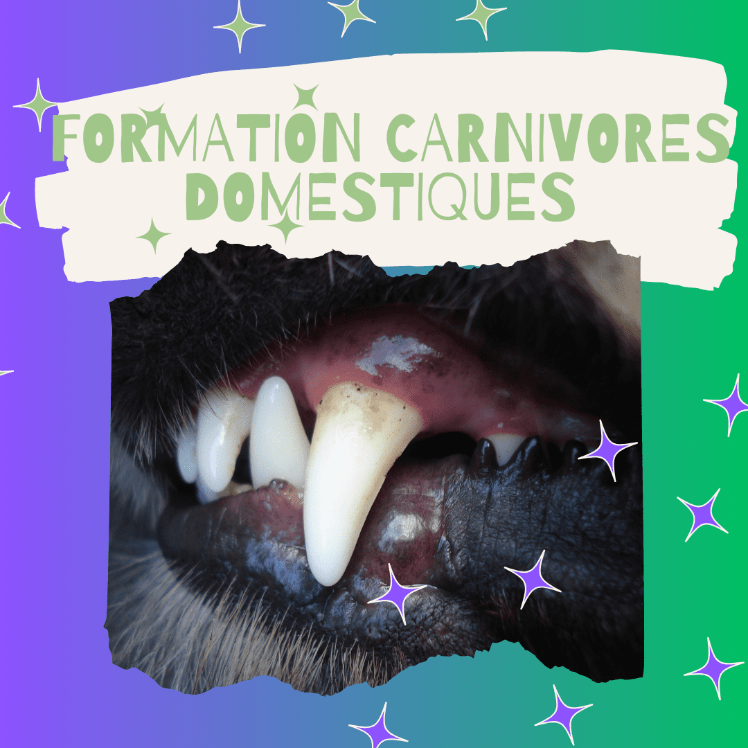 RESTE A CHARGE FORMATION CD