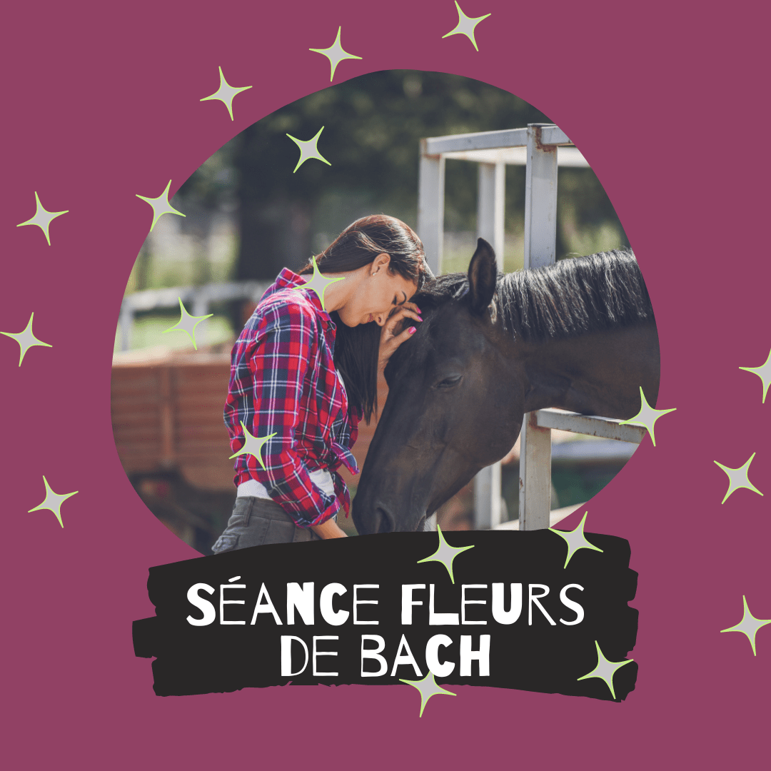 Séance Duo - Fleurs de Bach