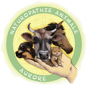 FORMATION PRÉSENTIEL RAP