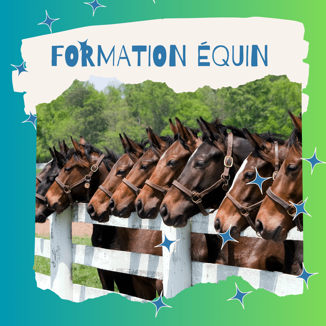 RESTE À CHARGE ÉQUIN