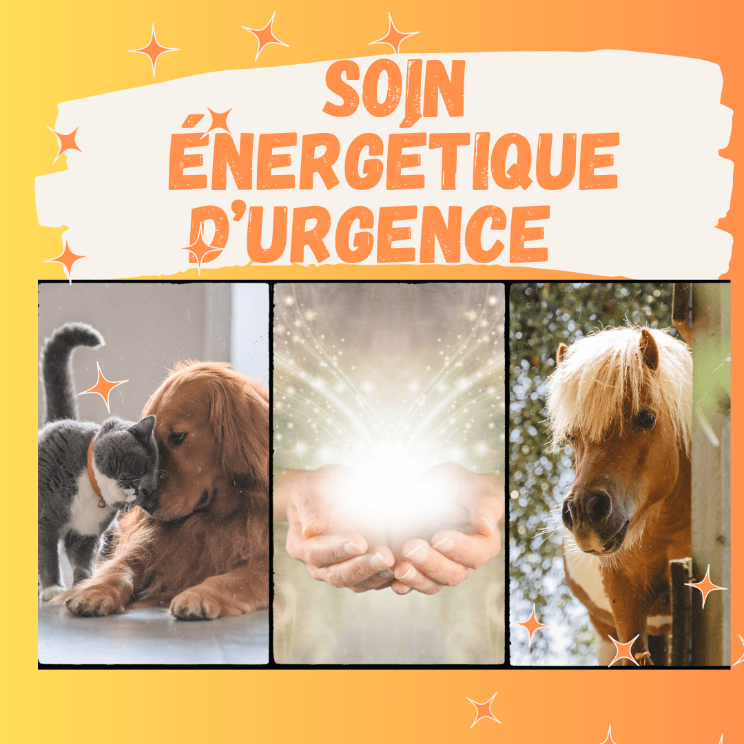 Soin d'urgence
