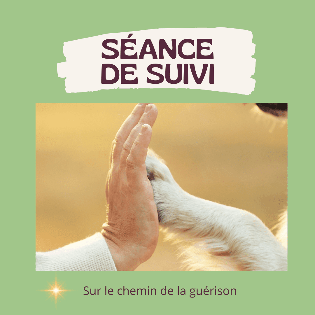 Séance de suivi