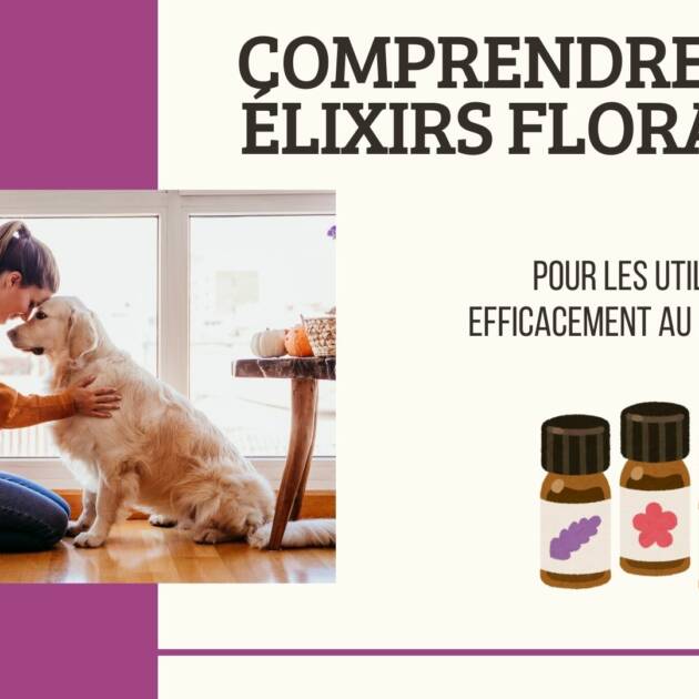 FORMATION ÉLIXIRS FLORAUX OFFRE élève 2025