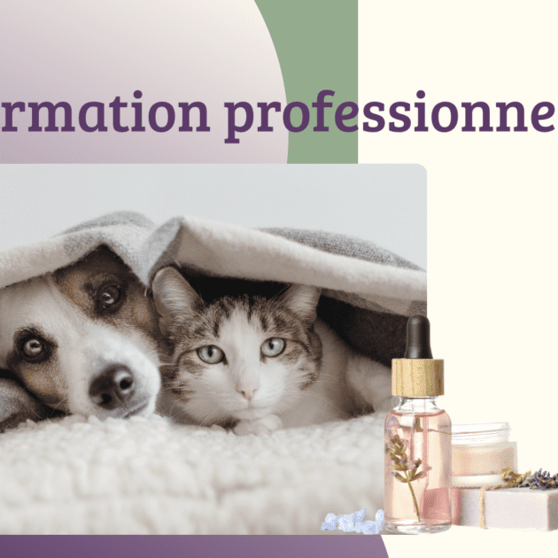 Formation Carnivores domestiques Pro+ option FDB