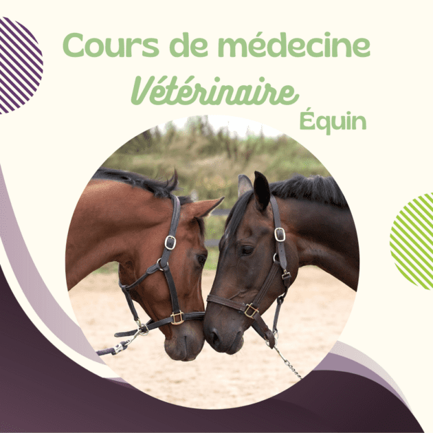 Cours Vétérinaire